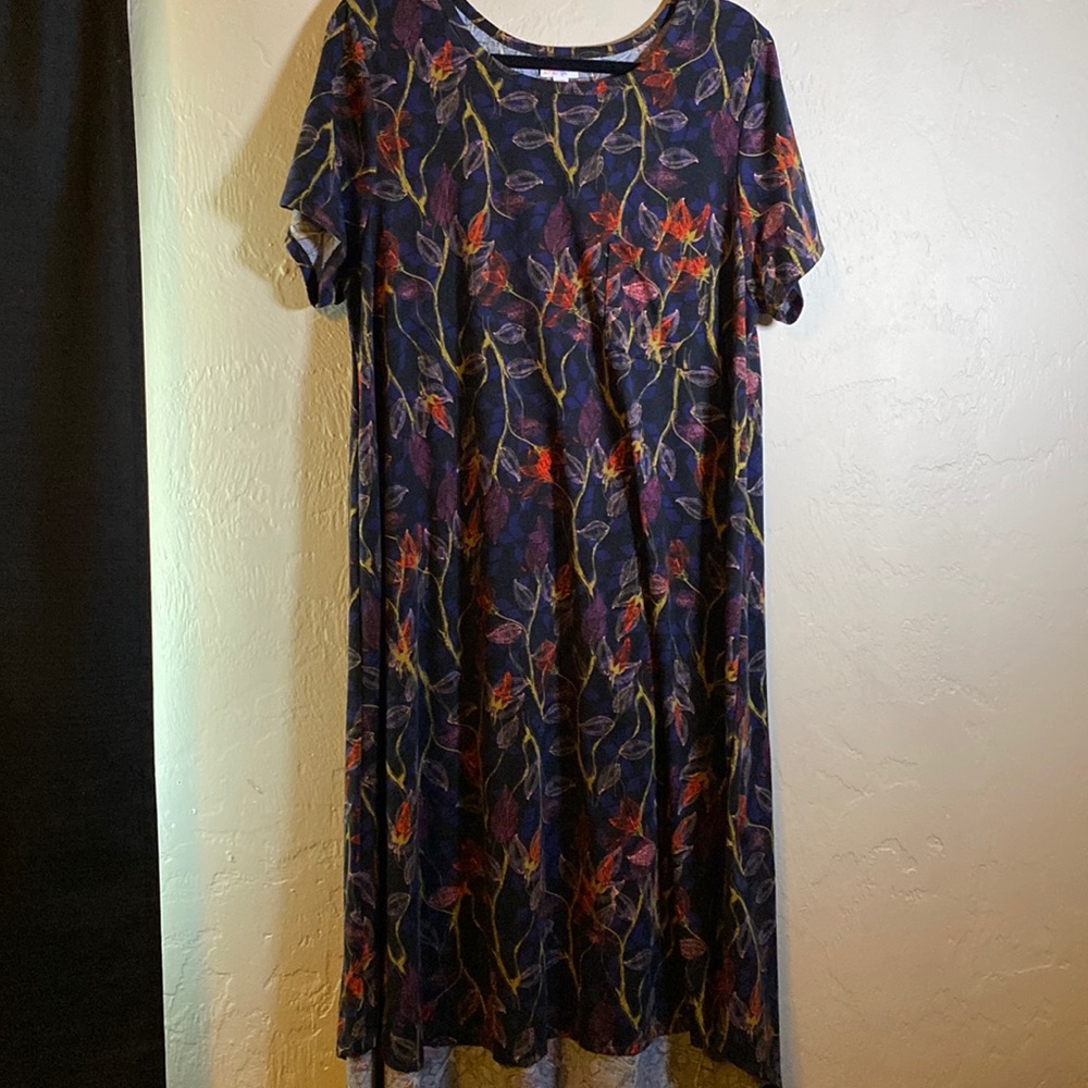 LulaRoe dark floral high low dress
